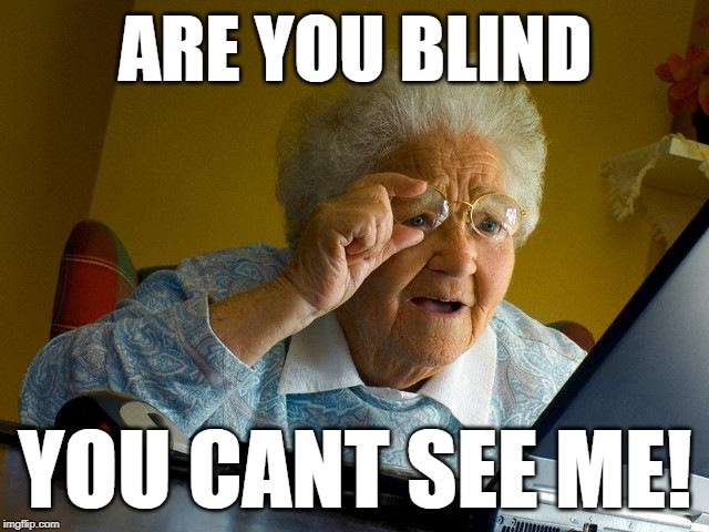 Grandma Finds The Internet Meme | ARE YOU BLIND; YOU CANT SEE ME! | image tagged in memes,grandma finds the internet | made w/ Imgflip meme maker