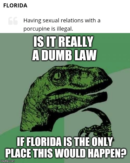 Ludicrous laws week, April 1-7 | IS IT REALLY A DUMB LAW; IF FLORIDA IS THE ONLY PLACE THIS WOULD HAPPEN? | image tagged in memes,philosoraptor,dumb laws,florida,porcupine | made w/ Imgflip meme maker