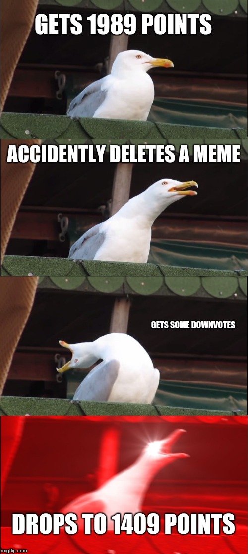 Inhaling Seagull Meme | GETS 1989 POINTS; ACCIDENTLY DELETES A MEME; GETS SOME DOWNVOTES; DROPS TO 1409 POINTS | image tagged in memes,inhaling seagull | made w/ Imgflip meme maker
