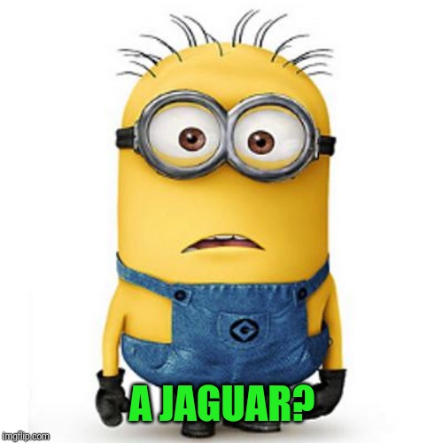 Minions | A JAGUAR? | image tagged in minions | made w/ Imgflip meme maker