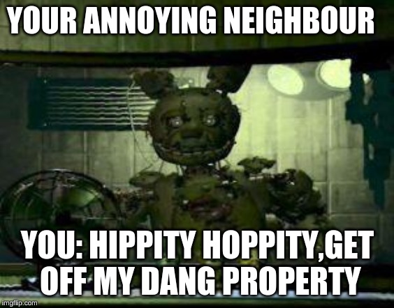 FNAF Springtrap in window | YOUR ANNOYING NEIGHBOUR; YOU: HIPPITY HOPPITY,GET OFF MY DANG PROPERTY | image tagged in fnaf springtrap in window | made w/ Imgflip meme maker