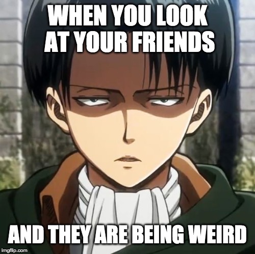 Levi | WHEN YOU LOOK AT YOUR FRIENDS; AND THEY ARE BEING WEIRD | image tagged in levi | made w/ Imgflip meme maker