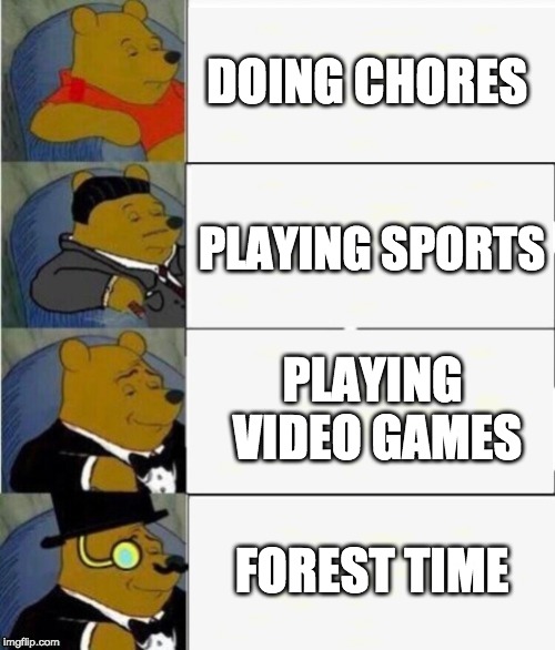 Tuxedo Winnie the Pooh 4 panel | DOING CHORES; PLAYING SPORTS; PLAYING VIDEO GAMES; FOREST TIME | image tagged in tuxedo winnie the pooh 4 panel | made w/ Imgflip meme maker