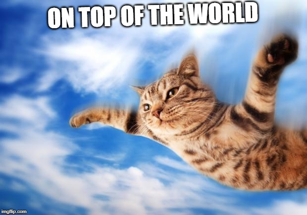 Flying-cat | ON TOP OF THE WORLD | image tagged in flying-cat | made w/ Imgflip meme maker