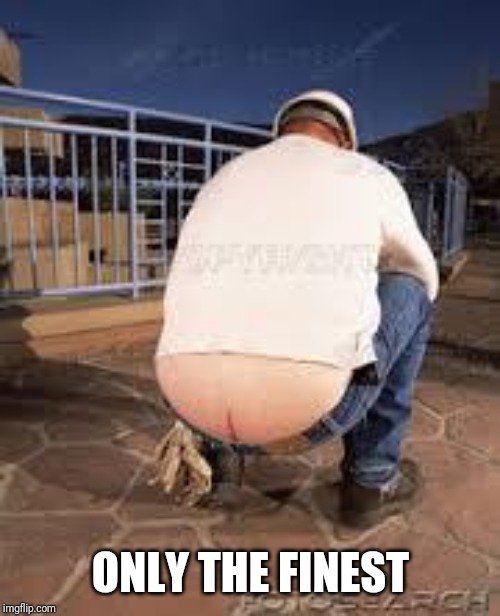 Plumber Butt | ONLY THE FINEST | image tagged in plumber butt | made w/ Imgflip meme maker