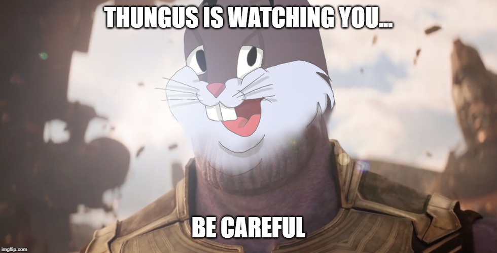 Thungus OG M3M3 | THUNGUS IS WATCHING YOU... BE CAREFUL | image tagged in thungus og m3m3 | made w/ Imgflip meme maker