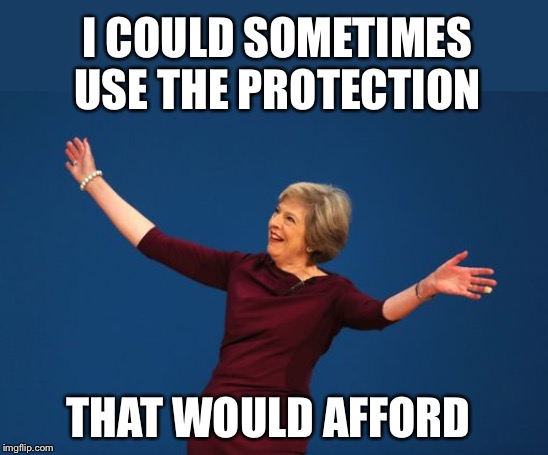 Theresa May  | I COULD SOMETIMES USE THE PROTECTION THAT WOULD AFFORD | image tagged in theresa may | made w/ Imgflip meme maker