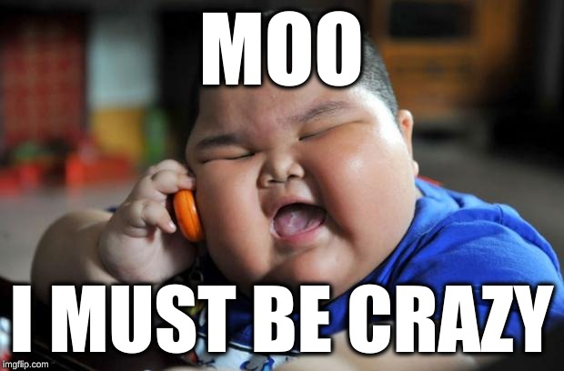 Fat Asian Kid | MOO; I MUST BE CRAZY | image tagged in fat asian kid | made w/ Imgflip meme maker