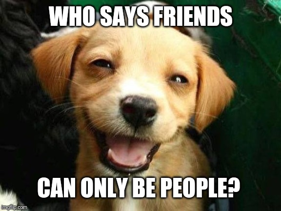 Dog Smiling | WHO SAYS FRIENDS CAN ONLY BE PEOPLE? | image tagged in dog smiling | made w/ Imgflip meme maker