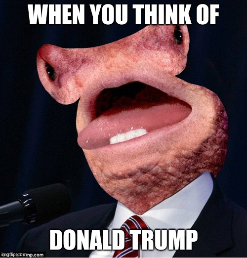 WHEN YOU THINK OF; DONALD TRUMP | image tagged in funny memes | made w/ Imgflip meme maker