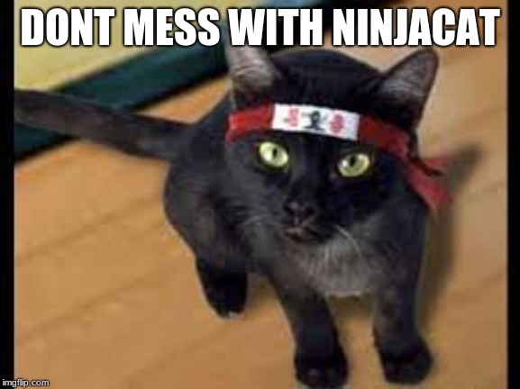 DONT MESS WITH NINJACAT | made w/ Imgflip meme maker