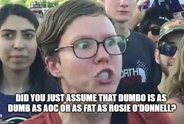 Triggered Liberal | DID YOU JUST ASSUME THAT DUMBO IS AS DUMB AS AOC OR AS FAT AS ROSIE O'DONNELL? | image tagged in triggered liberal | made w/ Imgflip meme maker
