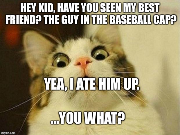 Scared Cat | HEY KID, HAVE YOU SEEN MY BEST FRIEND? THE GUY IN THE BASEBALL CAP? YEA, I ATE HIM UP. ...YOU WHAT? | image tagged in memes,scared cat | made w/ Imgflip meme maker