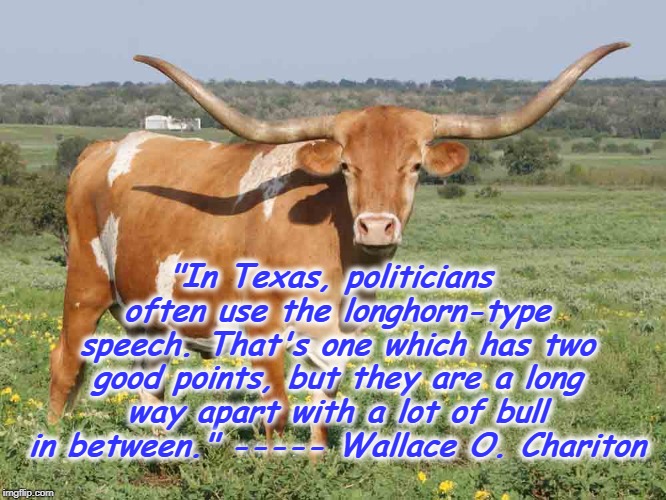 No Bull | "In Texas, politicians often use the longhorn-type speech. That's one which has two good points, but they are a long way apart with a lot of bull in between." ----- Wallace O. Chariton | image tagged in longhorn cattle,politicians,bull,debate,texas | made w/ Imgflip meme maker