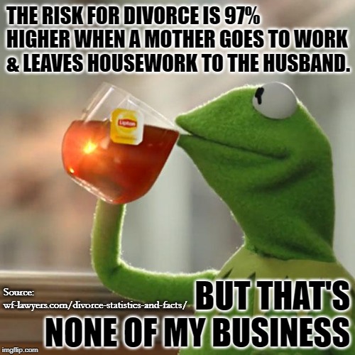 Working Women Wreck Homes But That's None of My Business | THE RISK FOR DIVORCE IS 97% HIGHER WHEN A MOTHER GOES TO WORK & LEAVES HOUSEWORK TO THE HUSBAND. Source: wf-lawyers.com/divorce-statistics-and-facts/; BUT THAT'S NONE OF MY BUSINESS | image tagged in memes,but thats none of my business,kermit the frog,divorce,statistics,marriage | made w/ Imgflip meme maker