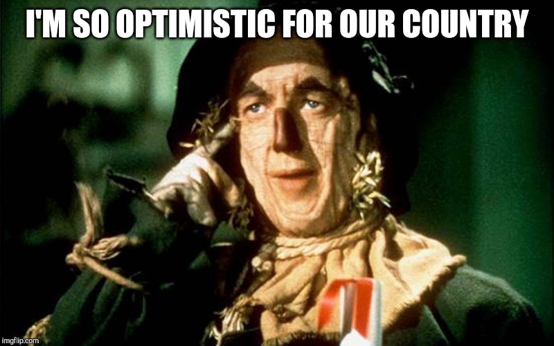 Oz Scarecrow | I'M SO OPTIMISTIC FOR OUR COUNTRY | image tagged in oz scarecrow | made w/ Imgflip meme maker