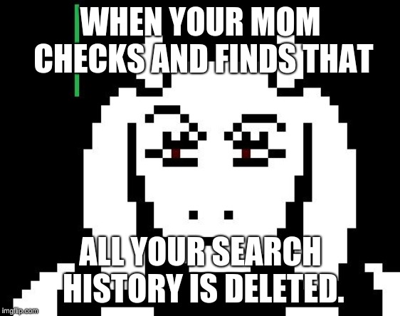 Undertale - Toriel | WHEN YOUR MOM CHECKS AND FINDS THAT; ALL YOUR SEARCH HISTORY IS DELETED. | image tagged in undertale - toriel | made w/ Imgflip meme maker