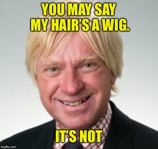 Michael Fabricant | YOU MAY SAY MY HAIR’S A WIG. IT’S NOT | image tagged in michael fabricant | made w/ Imgflip meme maker