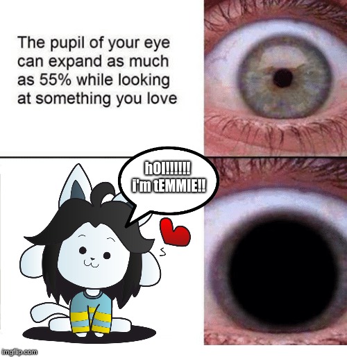 Temmie Forever | hOI!!!!!! i'm tEMMIE!! | image tagged in temmie | made w/ Imgflip meme maker