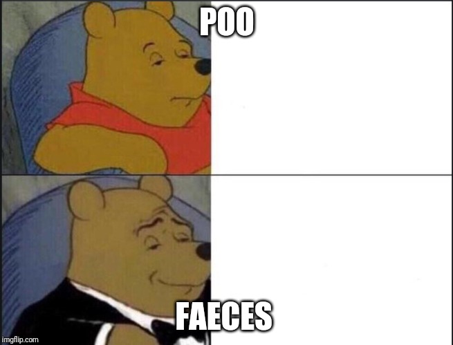 Tuxedo Winnie The Pooh | POO; FAECES | image tagged in winnie the pooh template | made w/ Imgflip meme maker
