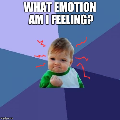 Success Kid | WHAT EMOTION AM I FEELING? | image tagged in memes,success kid | made w/ Imgflip meme maker