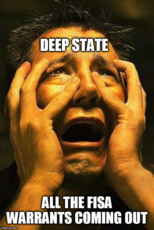 Fear | DEEP STATE; ALL THE FISA WARRANTS COMING OUT | image tagged in fear | made w/ Imgflip meme maker