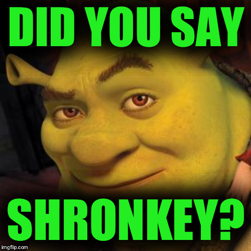 DID YOU SAY SHRONKEY? | image tagged in shrek sexy face | made w/ Imgflip meme maker