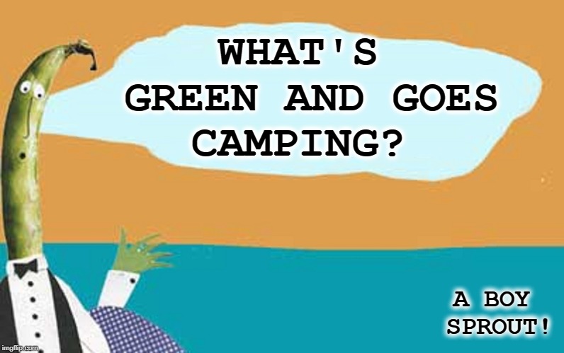 Vinnie Vegan, Stand-Up Comic | WHAT'S GREEN AND GOES    CAMPING? A BOY SPROUT! | image tagged in vince vance,green bean,vegetable jokes,vegan,vegetarian,green new deal | made w/ Imgflip meme maker