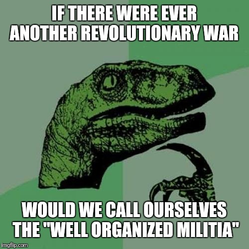 Philosoraptor | IF THERE WERE EVER ANOTHER REVOLUTIONARY WAR; WOULD WE CALL OURSELVES THE "WELL ORGANIZED MILITIA" | image tagged in memes,philosoraptor | made w/ Imgflip meme maker