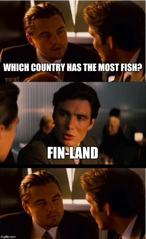 Inception Meme | WHICH COUNTRY HAS THE MOST FISH? FIN-LAND | image tagged in memes,inception | made w/ Imgflip meme maker