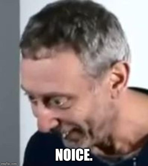 When Michael Rosen realised | NOICE. | image tagged in when michael rosen realised | made w/ Imgflip meme maker