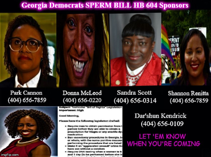 This is what happens... | image tagged in georgia,sperm bill,negro,politicians,out of control | made w/ Imgflip meme maker