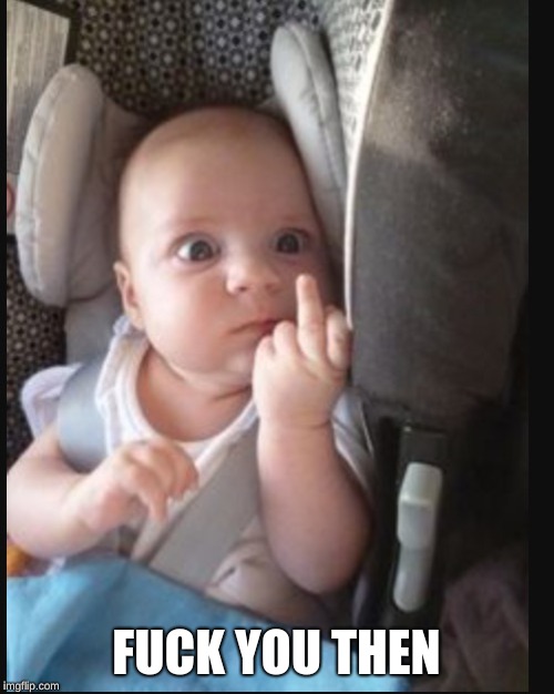 Baby flipping off | F**K YOU THEN | image tagged in baby flipping off | made w/ Imgflip meme maker