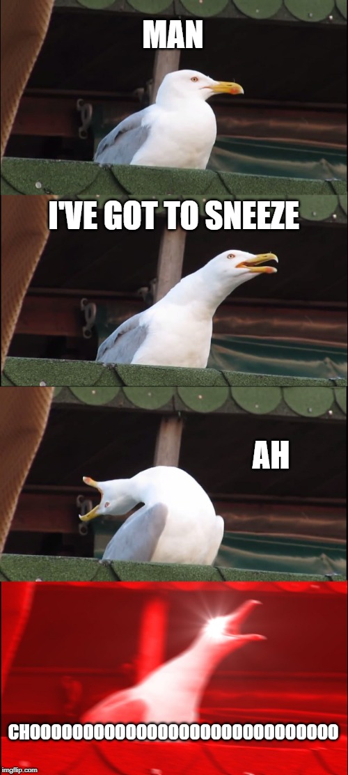 Inhaling Seagull Meme | MAN; I'VE GOT TO SNEEZE; AH; CHOOOOOOOOOOOOOOOOOOOOOOOOOOOOO | image tagged in memes,inhaling seagull | made w/ Imgflip meme maker