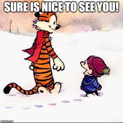 Calvin and hobbs | SURE IS NICE TO SEE YOU! | image tagged in calvin and hobbs | made w/ Imgflip meme maker