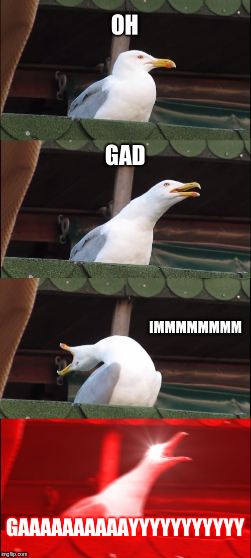 Inhaling Seagull | OH; GAD; IMMMMMMMM; GAAAAAAAAAAYYYYYYYYYYY | image tagged in memes,inhaling seagull | made w/ Imgflip meme maker