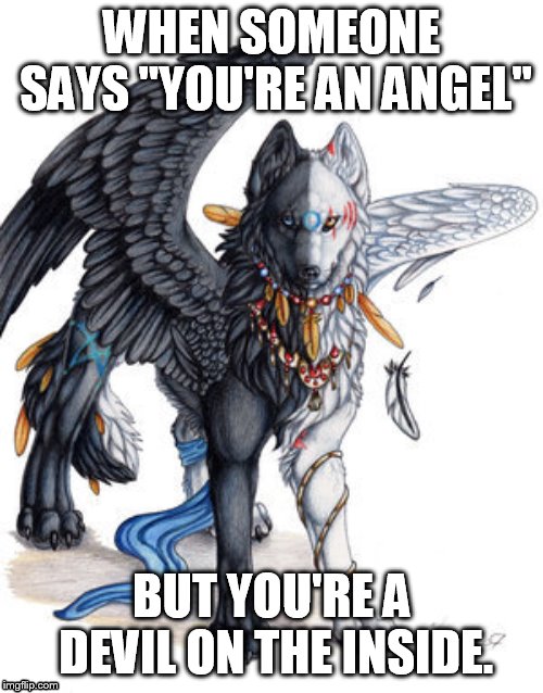 Angel Demon | WHEN SOMEONE SAYS "YOU'RE AN ANGEL"; BUT YOU'RE A DEVIL ON THE INSIDE. | image tagged in anime | made w/ Imgflip meme maker