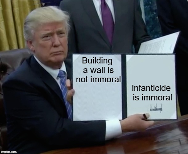 Trump Bill Signing Meme | Building a wall is not immoral infanticide is immoral | image tagged in memes,trump bill signing | made w/ Imgflip meme maker