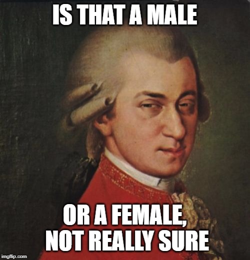 Mozart Not Sure Meme | IS THAT A MALE OR A FEMALE, NOT REALLY SURE | image tagged in memes,mozart not sure | made w/ Imgflip meme maker