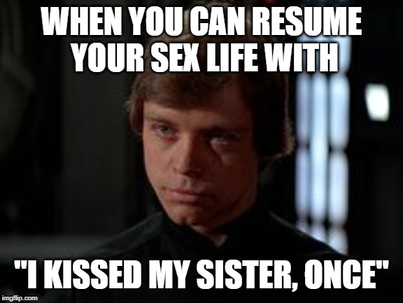 Luke Skywalker | WHEN YOU CAN RESUME YOUR SEX LIFE WITH "I KISSED MY SISTER, ONCE" | image tagged in luke skywalker | made w/ Imgflip meme maker