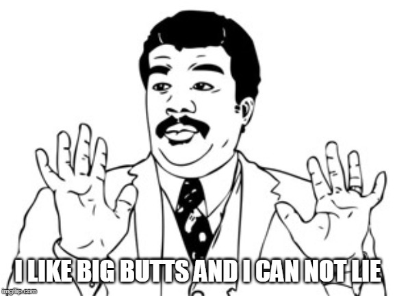 Neil deGrasse Tyson Meme | I LIKE BIG BUTTS AND I CAN NOT LIE | image tagged in memes,neil degrasse tyson | made w/ Imgflip meme maker