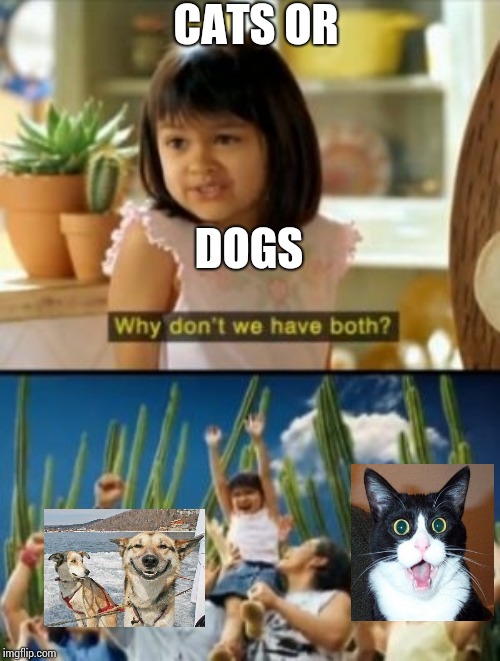 I put this in memes overload because I can't put it in cats because there's a dog and I can't put it in dogs 'cause there's a ca | CATS OR; DOGS | image tagged in memes,why not both,dog memes,cat,cats,lolcats | made w/ Imgflip meme maker