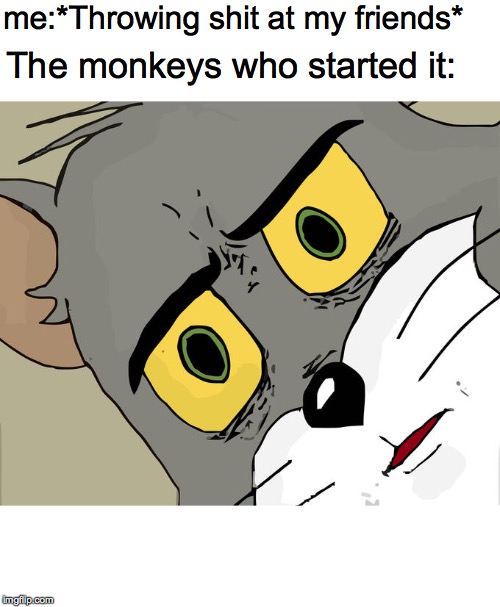 Unsettled Tom Meme | me:*Throwing shit at my friends*; The monkeys who started it: | image tagged in memes,unsettled tom | made w/ Imgflip meme maker