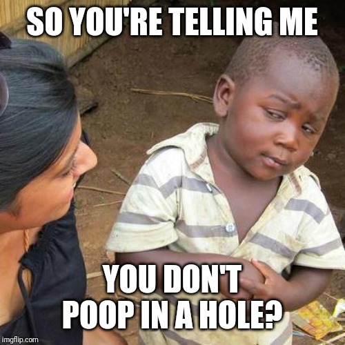 Third World Skeptical Kid | SO YOU'RE TELLING ME; YOU DON'T POOP IN A HOLE? | image tagged in memes,third world skeptical kid | made w/ Imgflip meme maker