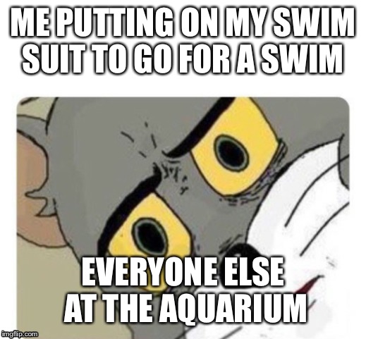 Shocked Tom | ME PUTTING ON MY SWIM SUIT TO GO FOR A SWIM; EVERYONE ELSE AT THE AQUARIUM | image tagged in shocked tom | made w/ Imgflip meme maker
