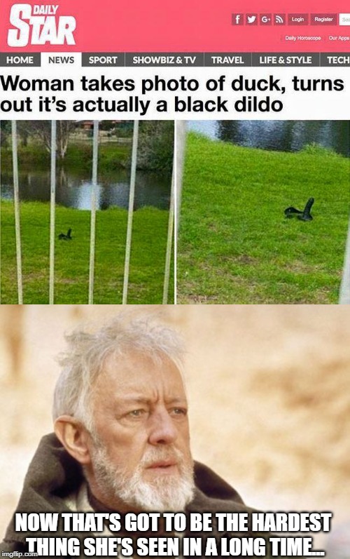 Aren't Male ducks "cocks" anyway? | NOW THAT'S GOT TO BE THE HARDEST THING SHE'S SEEN IN A LONG TIME... | image tagged in memes,obi wan kenobi | made w/ Imgflip meme maker