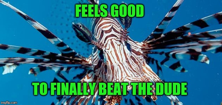 Lionfish | FEELS GOOD TO FINALLY BEAT THE DUDE | image tagged in lionfish | made w/ Imgflip meme maker