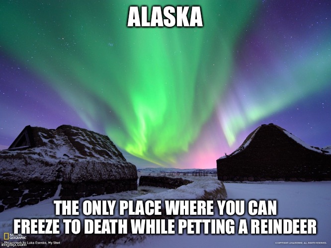 Alaska Northern Lights | ALASKA; THE ONLY PLACE WHERE YOU CAN FREEZE TO DEATH WHILE PETTING A REINDEER | image tagged in alaska northern lights | made w/ Imgflip meme maker
