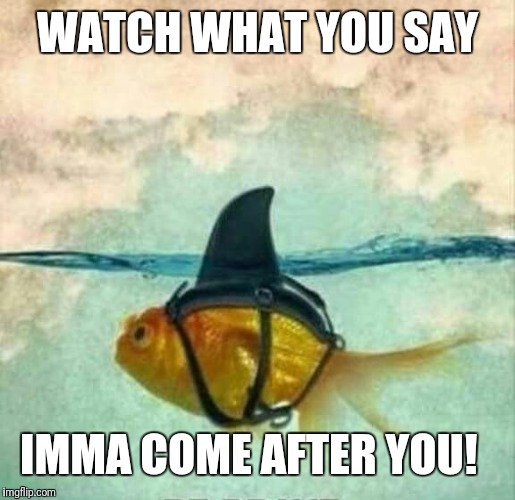 Goldfish Shark | WATCH WHAT YOU SAY IMMA COME AFTER YOU! | image tagged in goldfish shark | made w/ Imgflip meme maker