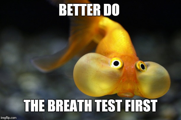 hold your breath goldfish | BETTER DO THE BREATH TEST FIRST | image tagged in hold your breath goldfish | made w/ Imgflip meme maker